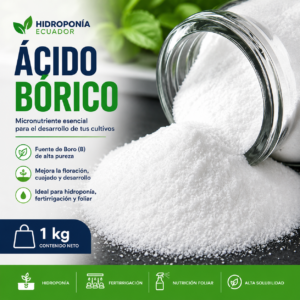 Ácido Bórico