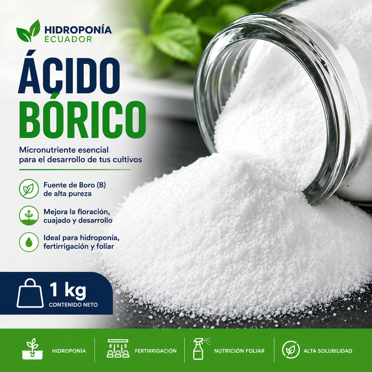 Ácido Bórico