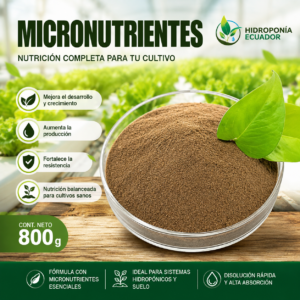Micronutrientes