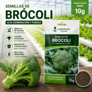 Semillas de brócoli
