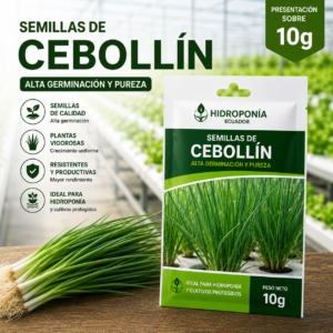 Semillas de Cebollín