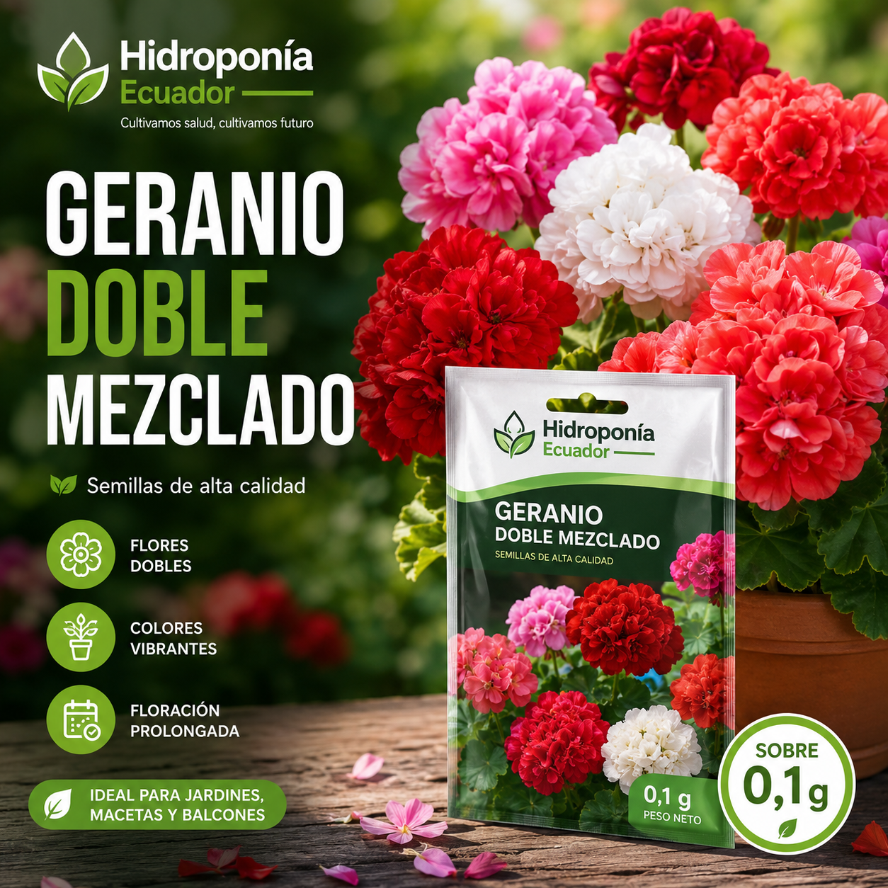 Semillas de Geranio Doble Mezclado