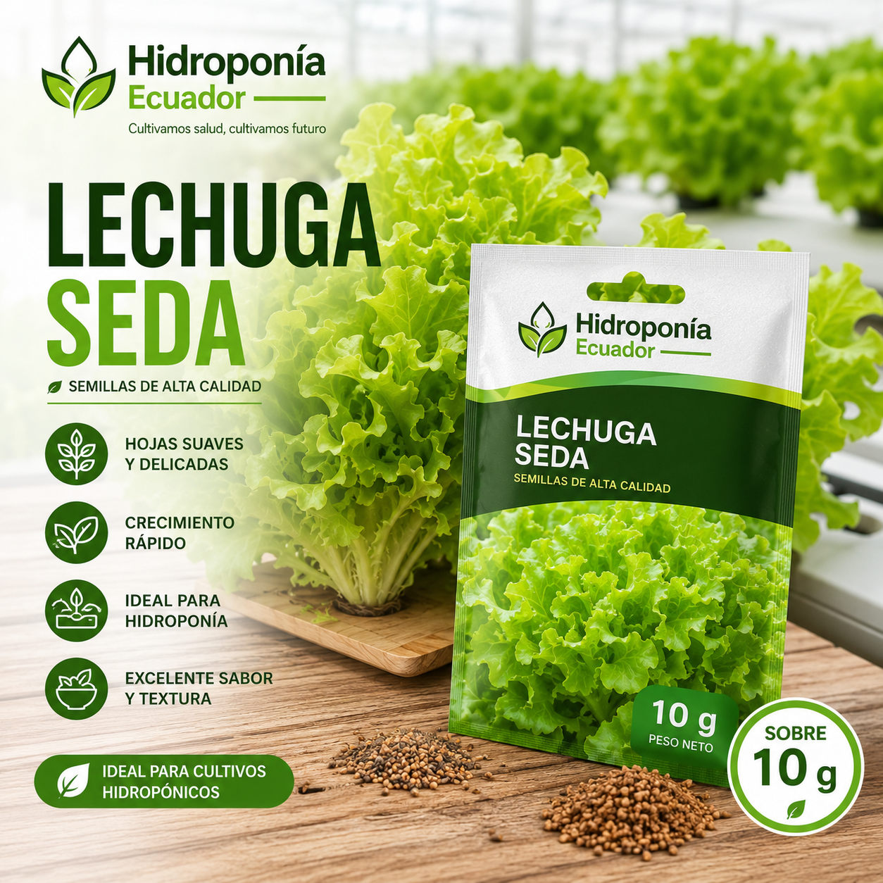 Semillas de lechuga seda