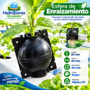 Esfera de enraizamiento