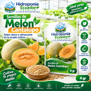 Semillas de Melón Cantalupo Hidropónico