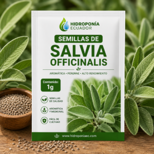 Semillas de Salvia Officinalis