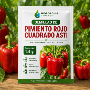 Semillas de pimiento rojo cuadrado Asti