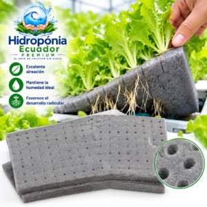 Esponja hidropónica