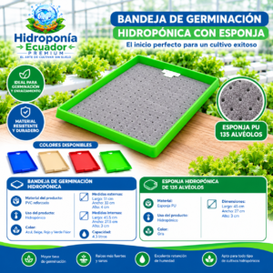 bandeja de germinación hidropónica